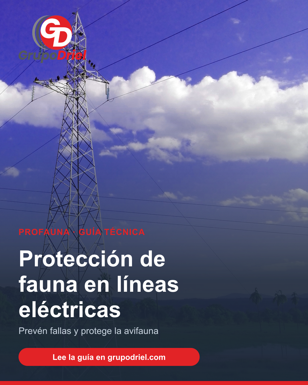 Protección de fauna en líneas eléctricas de alta tensión - ProFauna de GrupoDriel